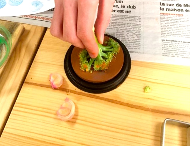 Les sens du goût - Atelier chou romanesco